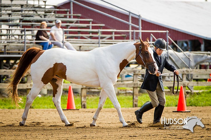 4H-1st-071313-1039.jpg