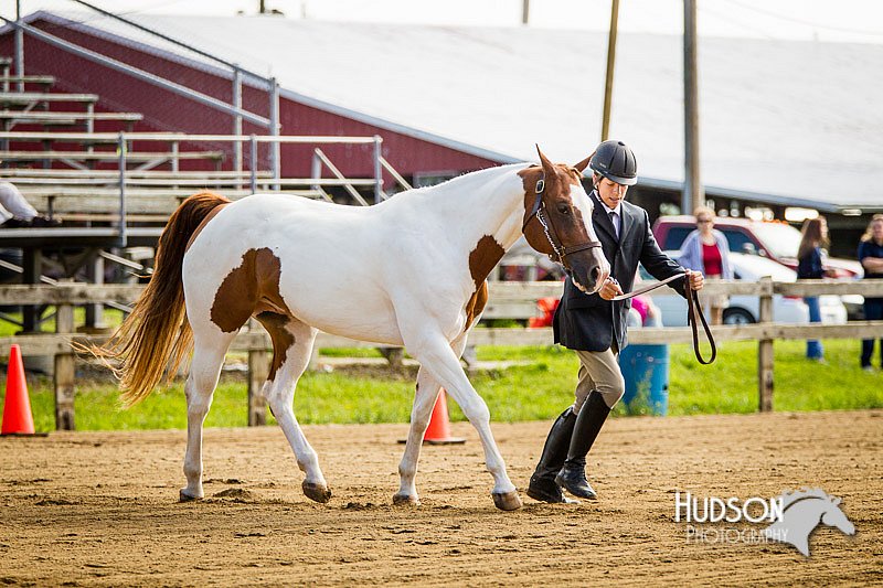 4H-1st-071313-1040.jpg
