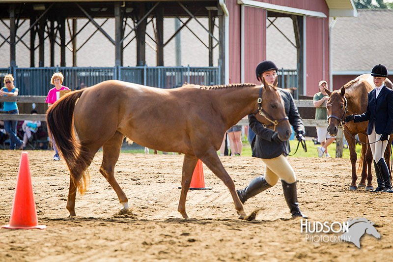 4H-1st-071313-1093.jpg