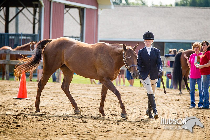 4H-1st-071313-1101.jpg