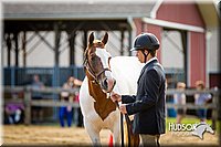 4H-1st-071313-1033.jpg
