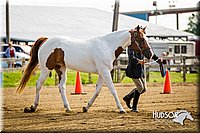 4H-1st-071313-1042.jpg