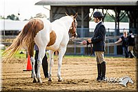 4H-1st-071313-1044.jpg