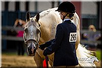 4H-1st-071313-1045.jpg