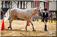 4H-1st-071313-1047.jpg