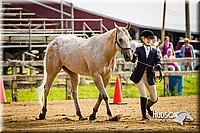 4H-1st-071313-1054.jpg