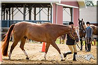 4H-1st-071313-1060.jpg