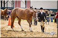 4H-1st-071313-1061.jpg
