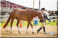 4H-1st-071313-1066.jpg