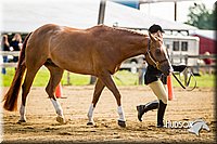 4H-1st-071313-1067.jpg