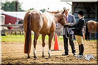4H-1st-071313-1069.jpg