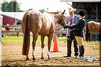 4H-1st-071313-1070.jpg