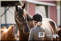 4H-1st-071313-1071.jpg