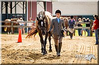 4H-1st-071313-1075.jpg