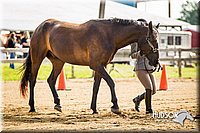 4H-1st-071313-1082.jpg