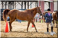 4H-1st-071313-1085.jpg