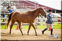 4H-1st-071313-1089.jpg
