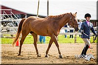4H-1st-071313-1090.jpg