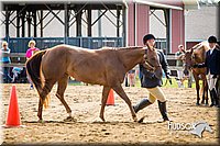 4H-1st-071313-1093.jpg