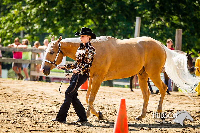 4H-1st-071313-1266.jpg