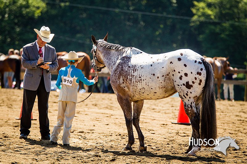 4H-1st-071313-1315.jpg