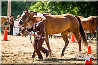 4H-1st-071313-1277.jpg