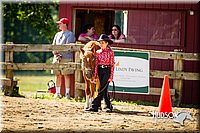 4H-1st-071313-1298.jpg
