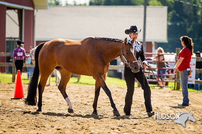4H-1st-071313-1174.jpg