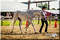 4H-1st-071313-1206.jpg