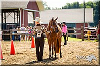 4H-1st-071313-1208.jpg