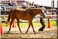 4H-1st-071313-1218.jpg