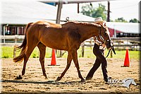 4H-1st-071313-1221.jpg