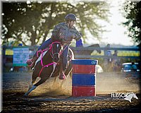 4H-2nd--072813-0403.jpg