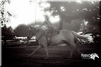 4H-2nd--072813-0420.jpg