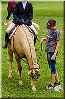 4H-2nd--072813-2116.jpg