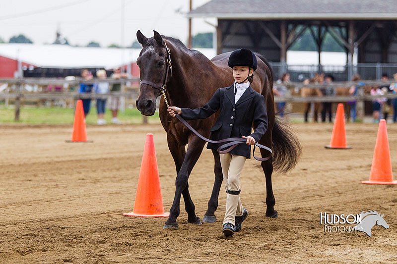 4H-2nd--072813-1157.jpg