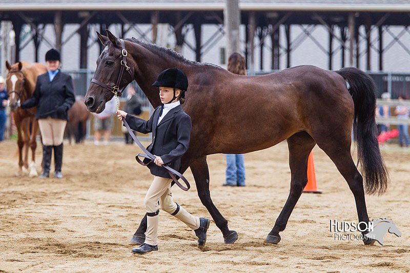 4H-2nd--072813-1160.jpg
