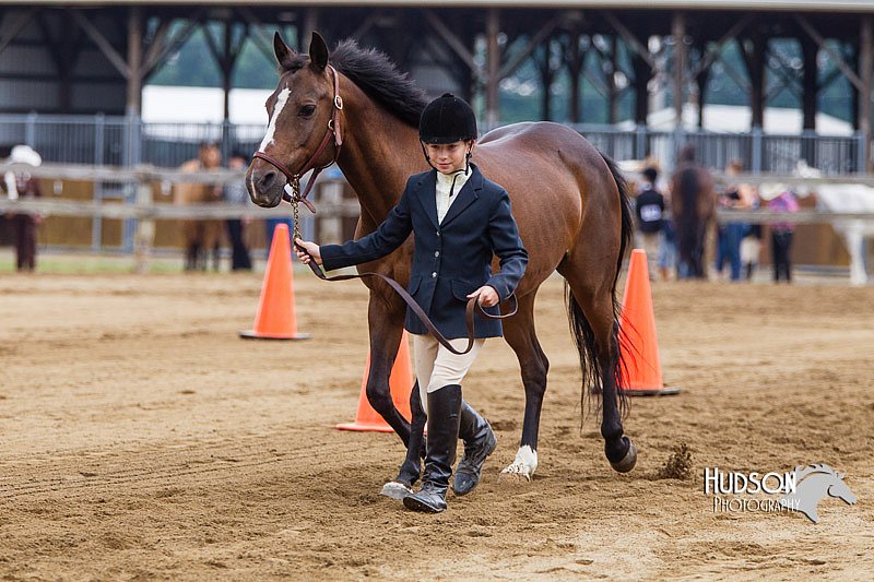 4H-2nd--072813-1173.jpg
