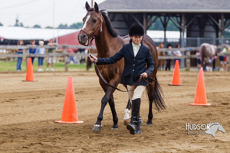 4H-2nd--072813-1176.jpg