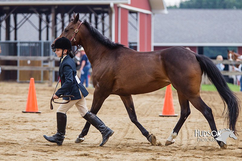 4H-2nd--072813-1180.jpg