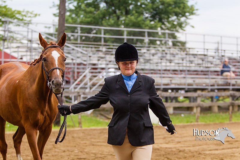 4H-2nd--072813-1204.jpg