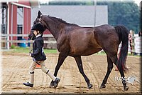 4H-2nd--072813-1159.jpg