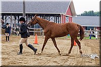 4H-2nd--072813-1169.jpg
