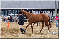 4H-2nd--072813-1170.jpg