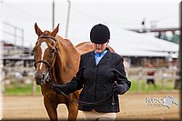 4H-2nd--072813-1171.jpg