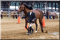 4H-2nd--072813-1173.jpg