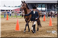 4H-2nd--072813-1176.jpg