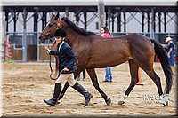 4H-2nd--072813-1182.jpg