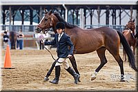 4H-2nd--072813-1183.jpg