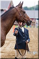 4H-2nd--072813-1187.jpg